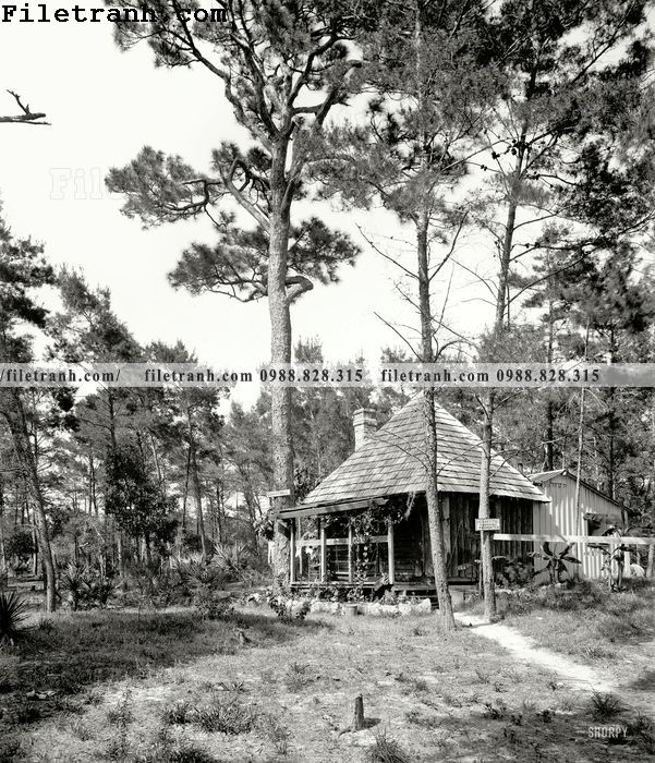 https://filetranh.com/tuong-nen/a-summer-place-1906.html